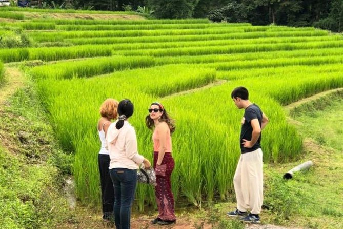 Doi Inthanon Day Trip:Twin Pagodas,Soft Hiking,Coffee Plantation - Hill villages, fields, and the coffee question