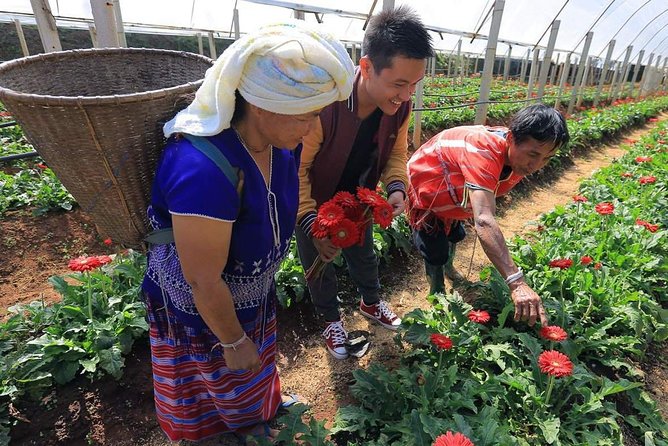 Doi Inthanon Discovery Tour: Waterfalls, Villages & Highest Peak - Why Doi Inthanon works well as a day trip from Chiang Mai