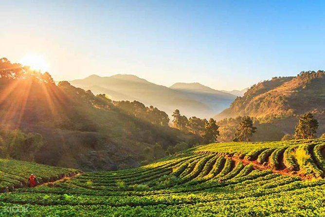 Doi Inthanon Discovery Tour: Waterfalls, Villages & Highest Peak - The long return to Chiang Mai