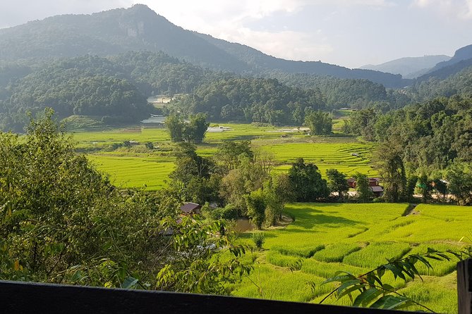 Doi inthanon National Park + 2Hour Fantastic Trekking with Lunch - Ending at 70-meter Wachirathan Falls