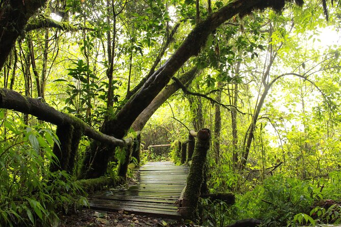 Doi Inthanon National park and 2 hours hiking with private tour - King and Queen Pagodas above the park