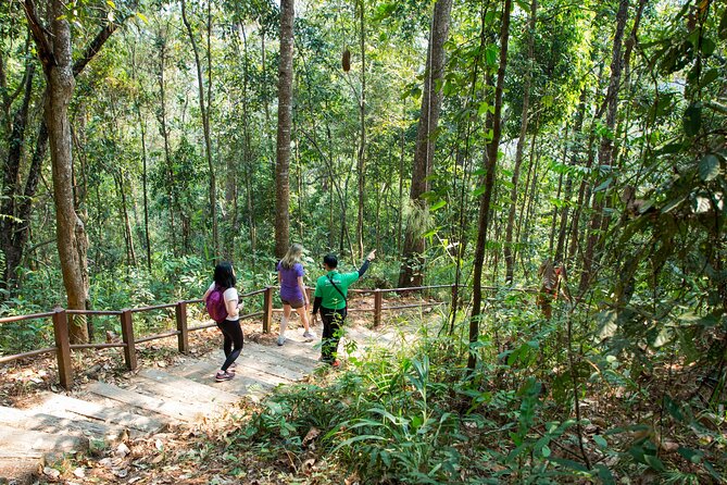 Doi Inthanon National Park Eco-Friendly Full Day Tour - Ang Ka Nature Trail, a short walk with useful signs