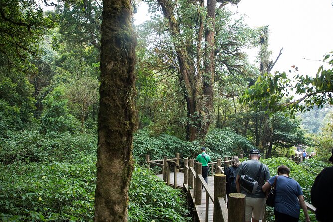 Doi Inthanon National Park Eco-Friendly Full Day Tour - Mae Klang Luang and the village coffee stop