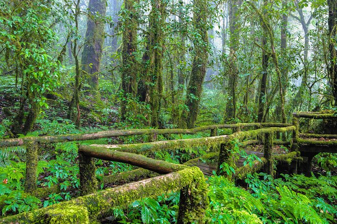 Doi Inthanon National Park, Waterfall & Royal Project Day Tour From Chiang Mai - The King and Queen Chedis are the cultural centerpiece