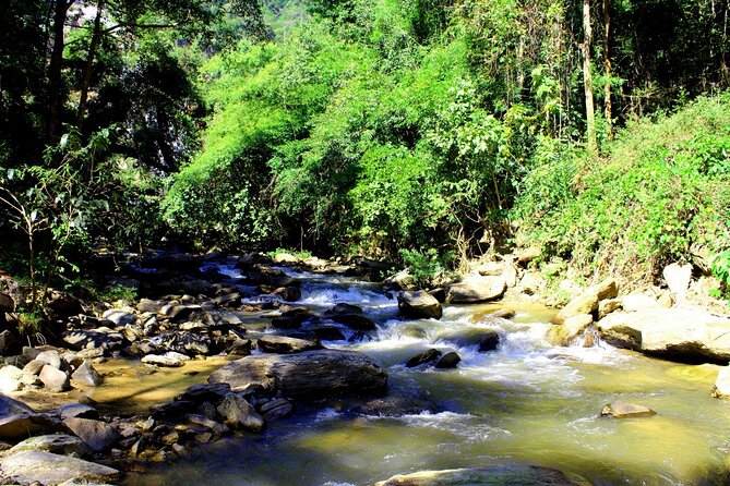 Doi Inthanon National Park, Waterfall & Royal Project Day Tour From Chiang Mai - Ban Mae Klang Luang adds culture, coffee, and shopping