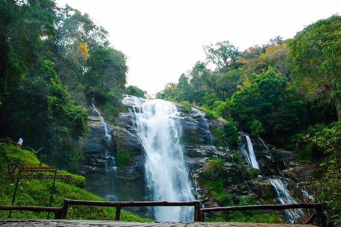 Doi Inthanon National Park with Nature Trail Trekking 1-Day Tour - Ban Mae Klang Luang brings coffee and local contact