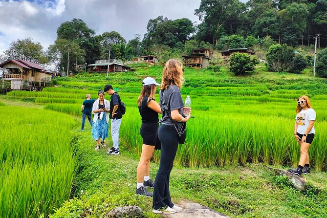 Doi Inthanon Waterfall and Royal Project Chiang Mai - Karen village and Royal Project connections