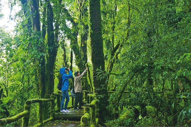 Doi Inthanon Waterfall and Royal Project Chiang Mai - Ang Ka Nature Trail: short walk, cool forest