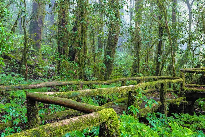 Doi Inthanon Waterfall and Royal Project Chiang Mai - The Twin Royal Stupas and their gardens