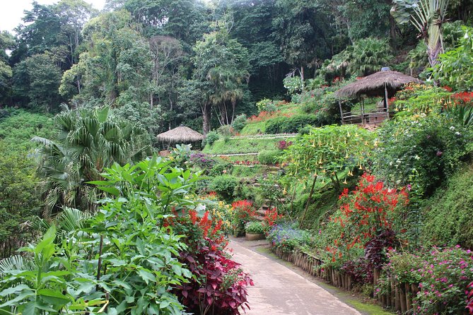DON'T miss It ! Doi suthep temple+ Hmong village - Who should book this Doi Suthep tour?
