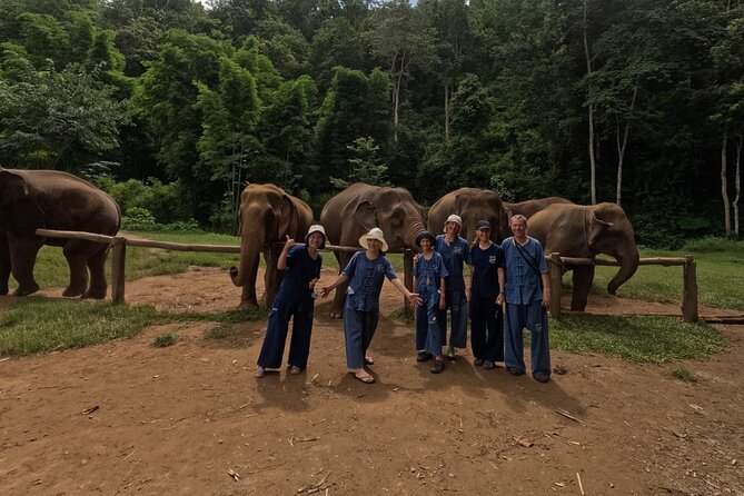 Elephant care program at CHIANGMAI ELEPHANT CARE - Feeding, walking, and possible water time