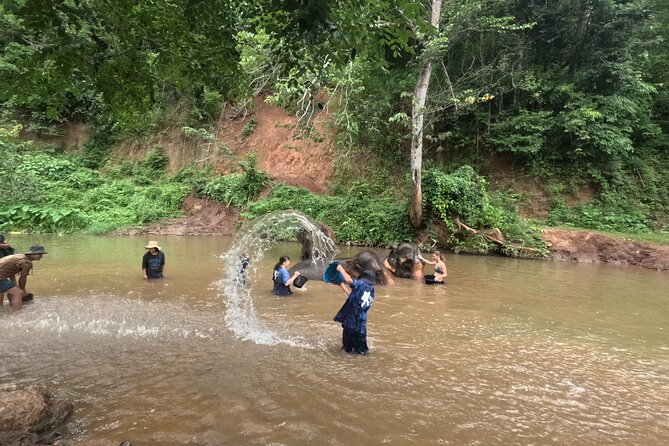 Elephant care program at CHIANGMAI ELEPHANT CARE - The morning pickup and the road north