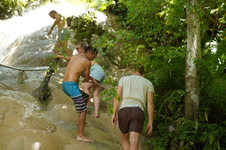 Elephant Habitat Park Feeding Entry & Rafting Van Transfer - Making herbal vitamin balls