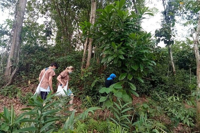 Elephant Sanctuary Small Group Tour in Phuket - The most important things to know