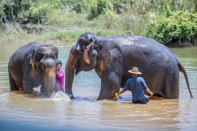 Elephant Sanctuary Small Group Tour in Phuket - Making herbal elephant snacks