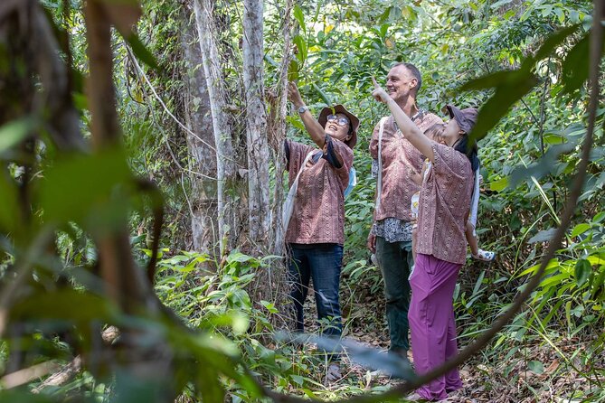 Elephant Sanctuary Small Group Tour in Phuket - The setting, hills, and what to wear