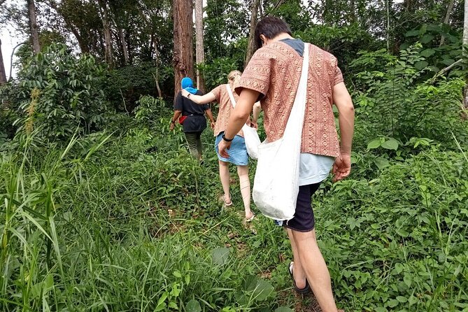 Elephant Sanctuary Small Group Tour in Phuket - Hotel pickup and the ride from Phuket