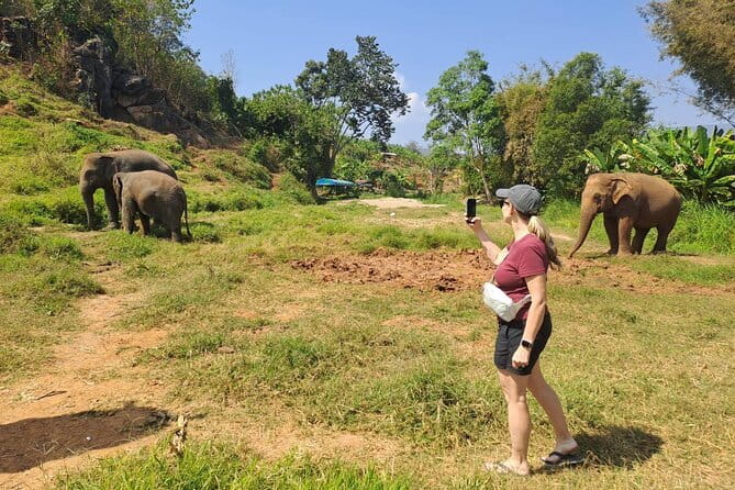 Elephant Sanctuary, Wat Ban Den & Sticky Waterfall - Who will enjoy this tour most?