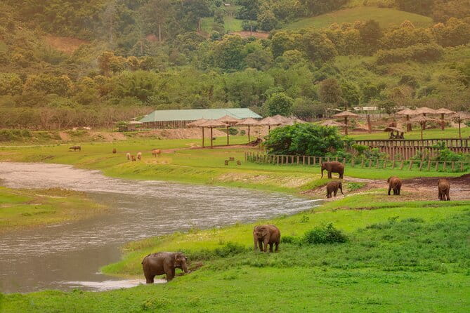 Elephant Sanctuary + Waterfall + Bamboo Rafting One Day Trip - Starting from Chiang Mai at 8:00 a.m.