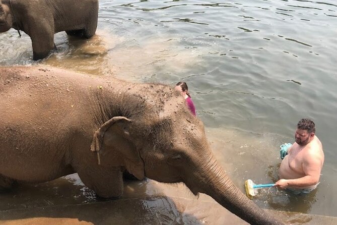 Erawan Waterfall and Elephant care from Bangkok -Private Tour - What the Elephant Visit Can and Cannot Promise