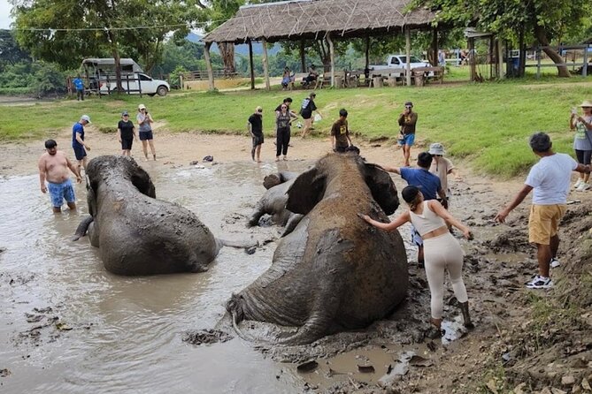 Erawan Waterfall and Elephant care from Bangkok -Private Tour - Buffet Lunch From Noon to 1:00 p.m.