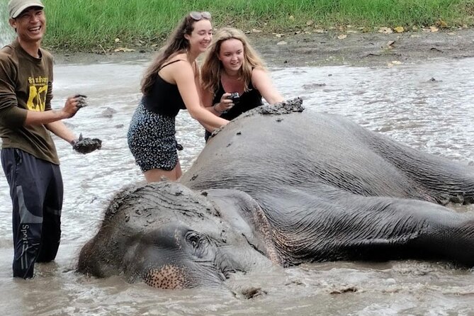 Erawan Waterfall and Elephant care from Bangkok -Private Tour - The 4:00 p.m. Return to Bangkok