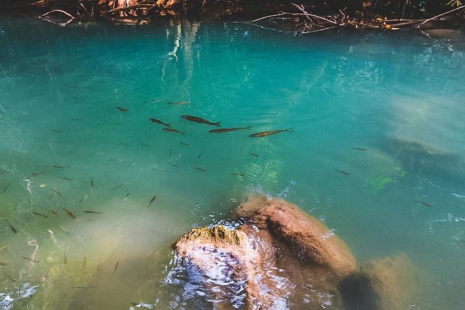 Erawan Waterfall and Elephant Care: Private Tour to Kanchanabur - Why this Bangkok day trip works