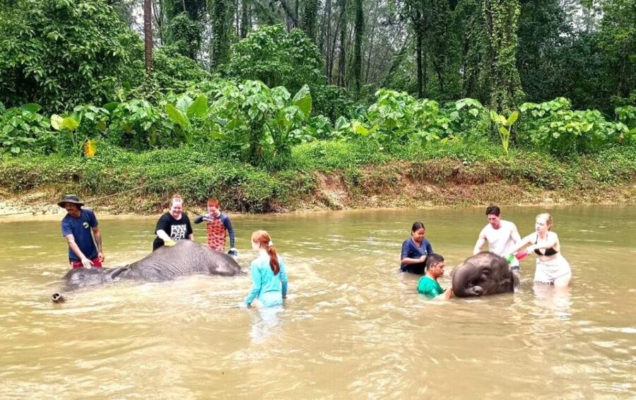 Ethical Elephant Sanctuary Experience in Khao Lak - Key Points Before You Book