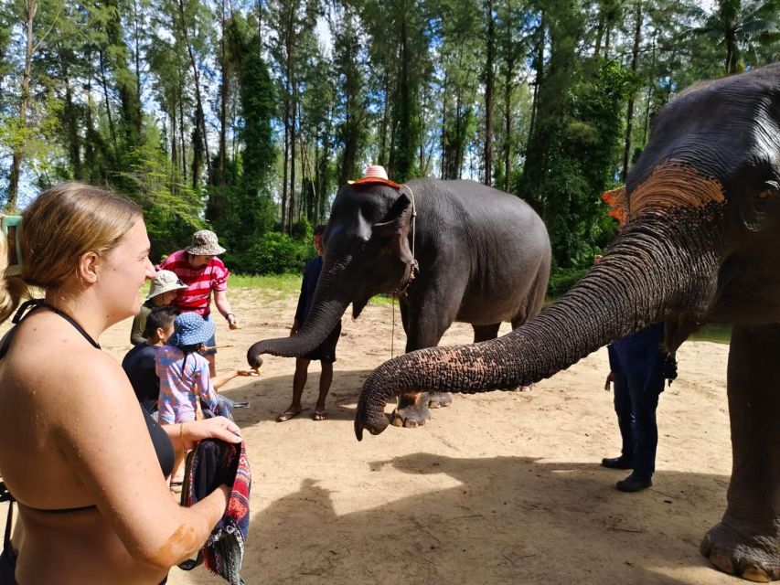 Ethical Elephant Sanctuary Experience in Khao Lak - Meeting the Elephants as Individuals