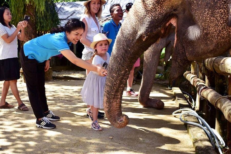 Ethical Elephant Sanctuary Experience in Khao Lak - The Observation Walk and the Creek Platform