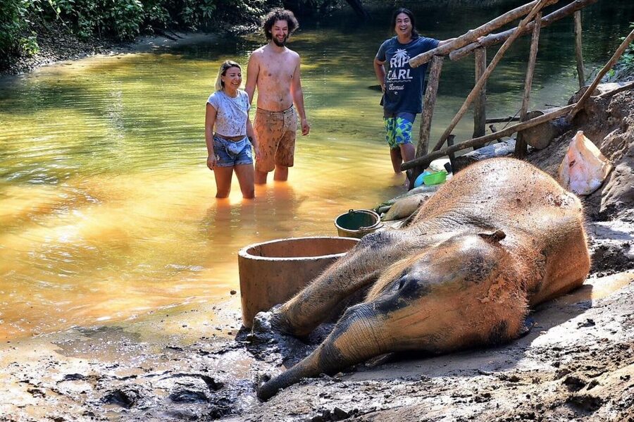 Ethical Elephant Sanctuary Experience in Khao Lak - Thai Herbal Inhalers and Khanom Krok