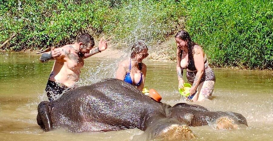 Ethical Elephant Sanctuary Experience in Khao Lak - What the $56 Price Really Covers