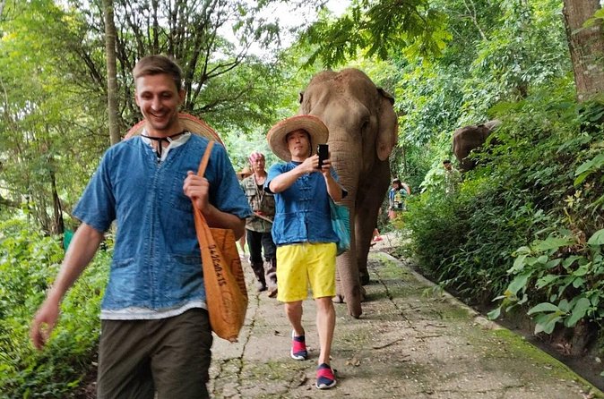 Ethical Elephant Visit and White Water Rafting in Chiang Mai - White water rafting on the Mae Taeng River