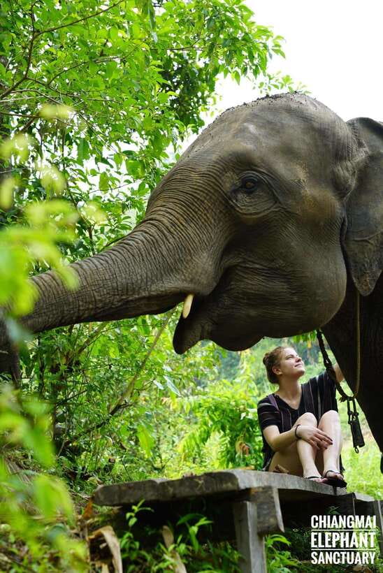 Exclusive experience half day with family giant animals - Key points to know before booking