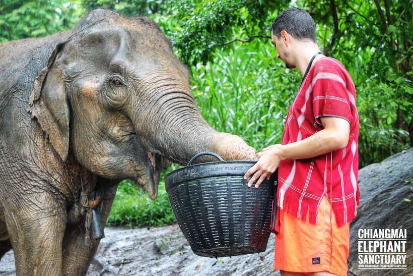 Exclusive experience half day with family giant animals - How the $48 price holds up