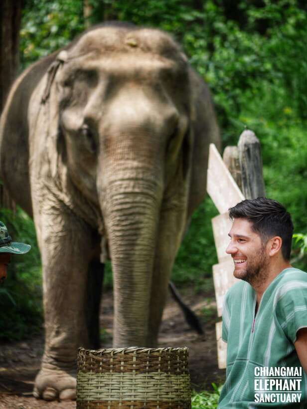 Exclusive experience half day with family giant animals - Reaching the sanctuary from Chiang Mai