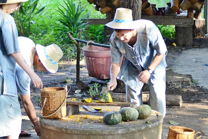 Experience Elephant Sanctuary + Sticky Waterfall - Lunch at the sanctuary