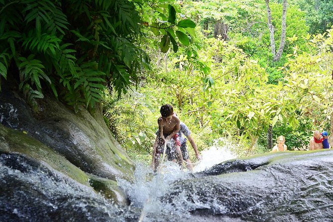 Experience Elephant Sanctuary + Sticky Waterfall - Guides, drivers, and the level of support
