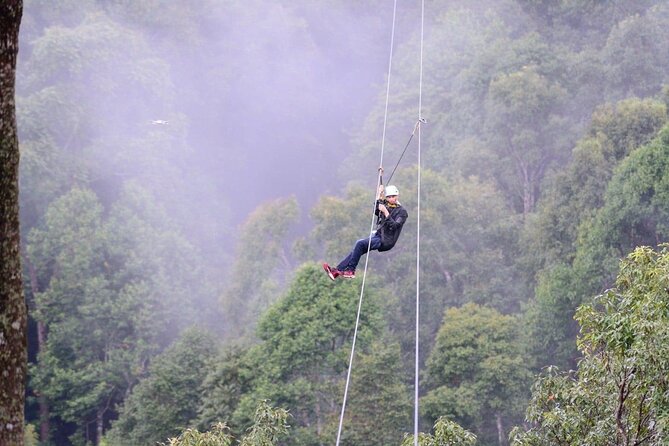Extream Zipline @ Kingkong Smile and Dip in Hot Spring - Key Points Before You Book