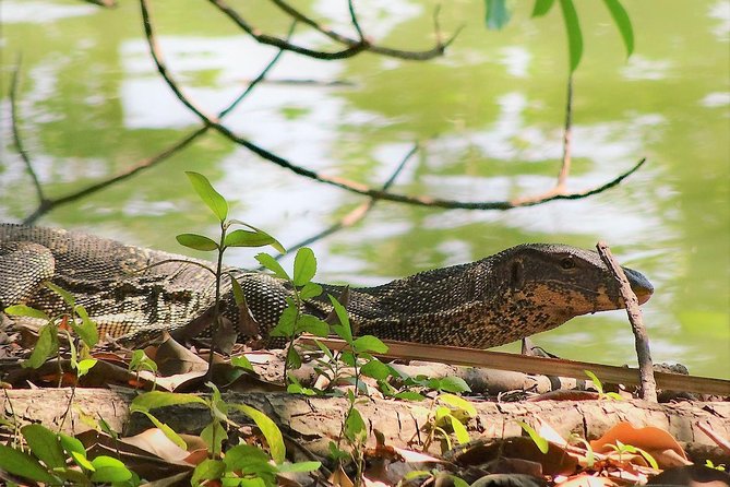 Family Bicycle Tour in the Green Oasis of Bangkok on Bamboo bikes - How the tour compares with ordinary Bangkok sightseeing