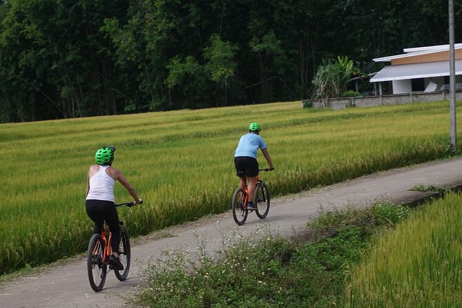 FIELDS OF GOLD Mountain Biking Tour Chiang Mai - Mok Fa Waterfall, a 30-minute cooling stop