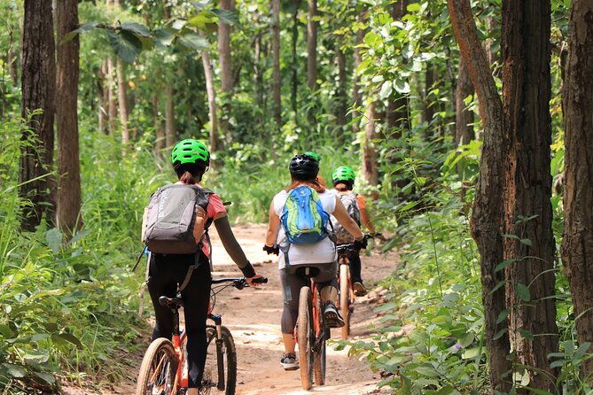 FIELDS OF GOLD Mountain Biking Tour Chiang Mai - Food, drinks, and the value of $66.63