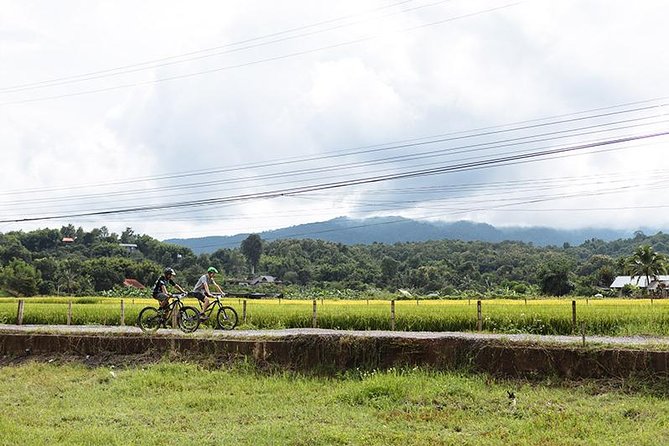 FIELDS OF GOLD Mountain Biking Tour Chiang Mai - The KONA bike and protective gear