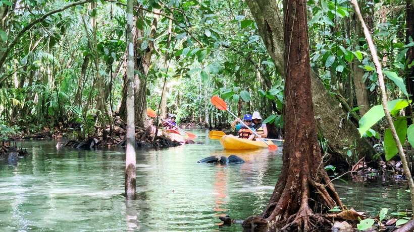 From Ao Nang: Kayaking at Klong Rud with Hotel Transfers - From Ao Nang to Klong Rud Pier