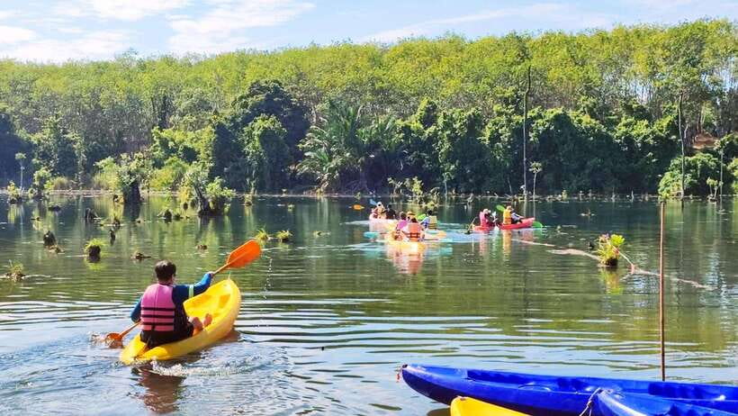 From Ao Nang: Kayaking at Klong Rud with Hotel Transfers - Who will enjoy this outing most