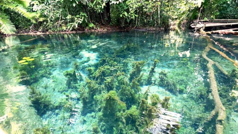 From Ao Nang: Kayaking at Klong Rud with Hotel Transfers - Practical advice before you go