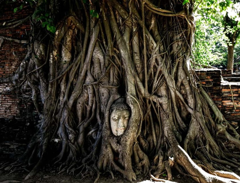 From Bangkok: Ayutthaya Heritage Tour with Sunset Boat Ride - Wat Maha That and the Buddha in the tree roots