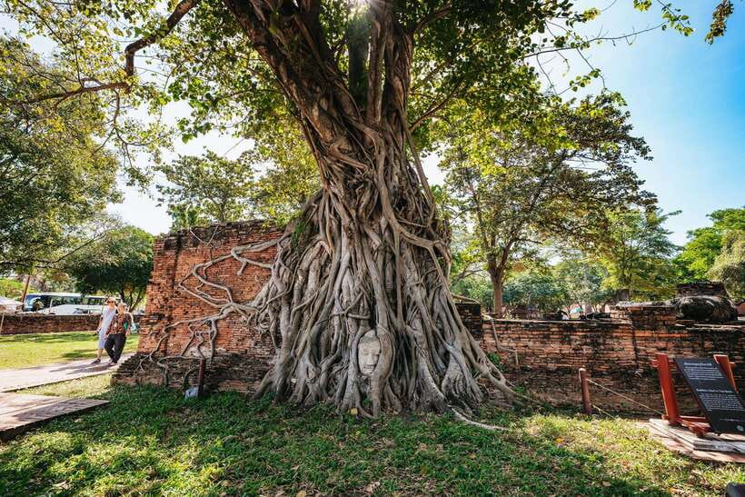 From Bangkok: Ayutthaya Temples Guided Tour with Lunch - Wat Chaiwatthanaram and its Khmer-style towers