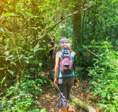 Khao Yai National Park Small-Group Day Trip