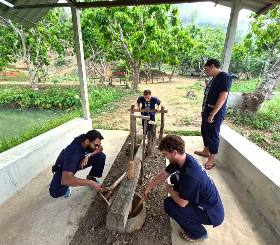 From Chiang Mai: Chiang Mai Elephant Care Morning Program - Making herbal medicine balls